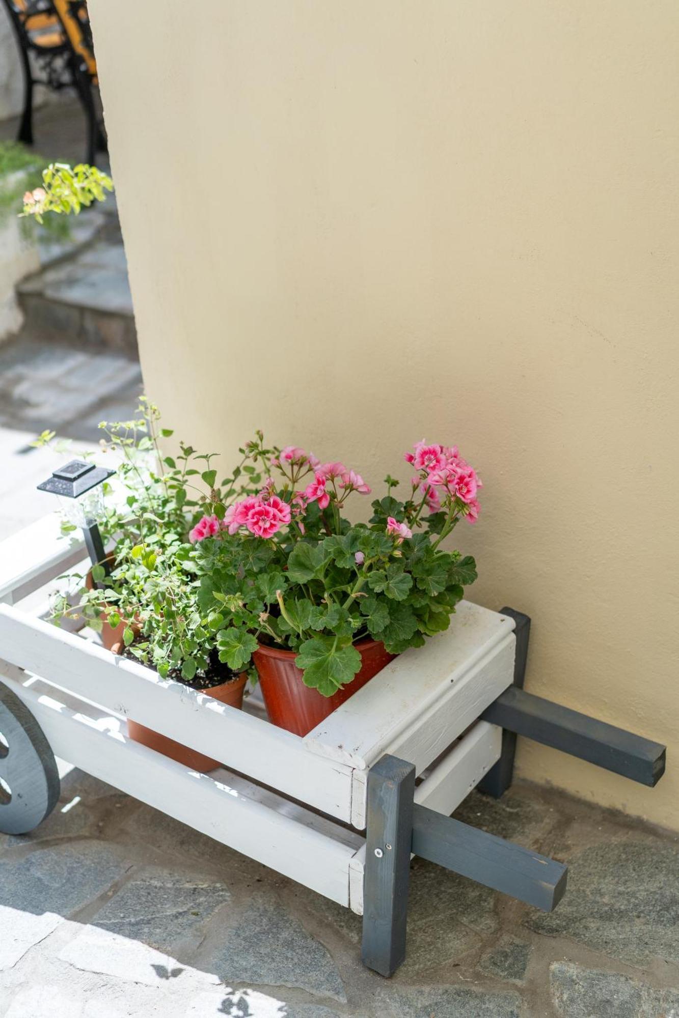 Spacious Home With Yard, Mytilene Lesvos 외부 사진