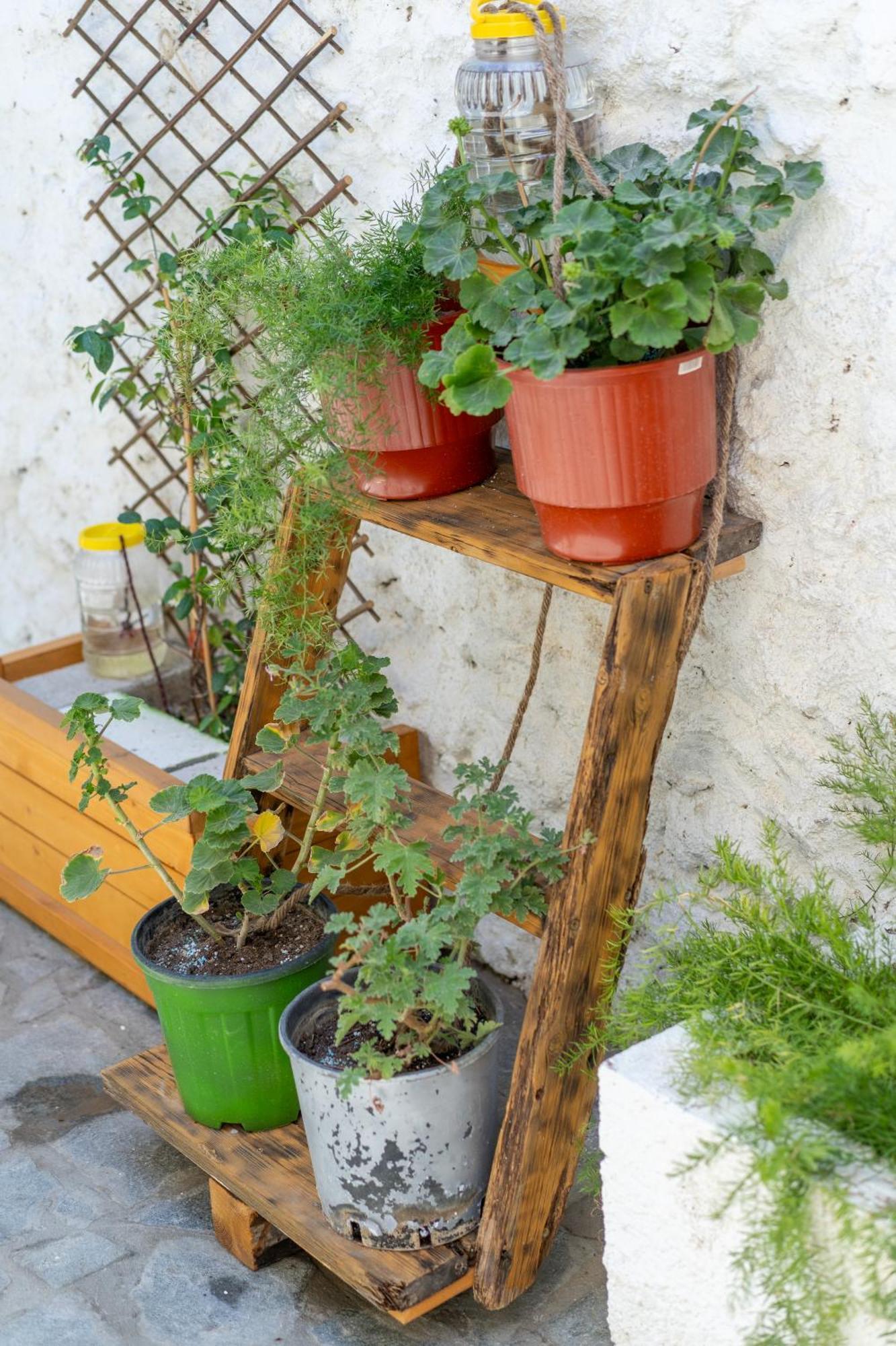 Spacious Home With Yard, Mytilene Lesvos 외부 사진